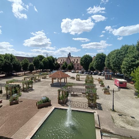 Photo qui montre la place du château avec tous les bacs à plantes installés, le kiosque en plein centre de la place et un point d’eau en premier plan.